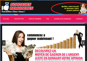 sondage-remunere.net-home