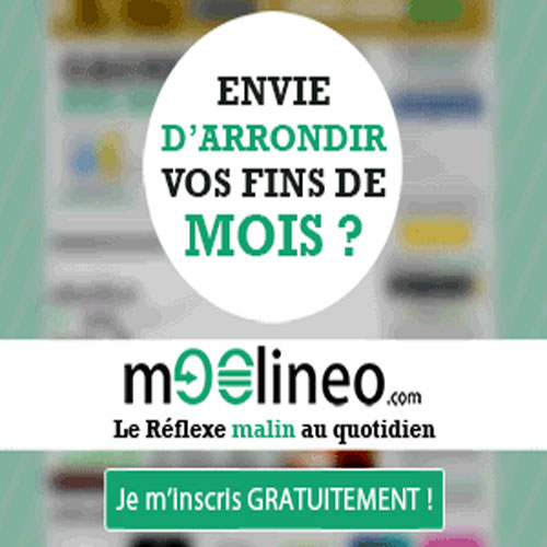 Site web moolineo